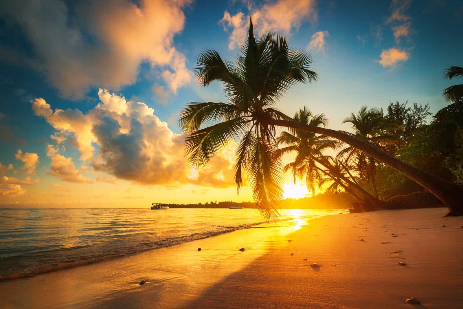 an exotic beach at sunset