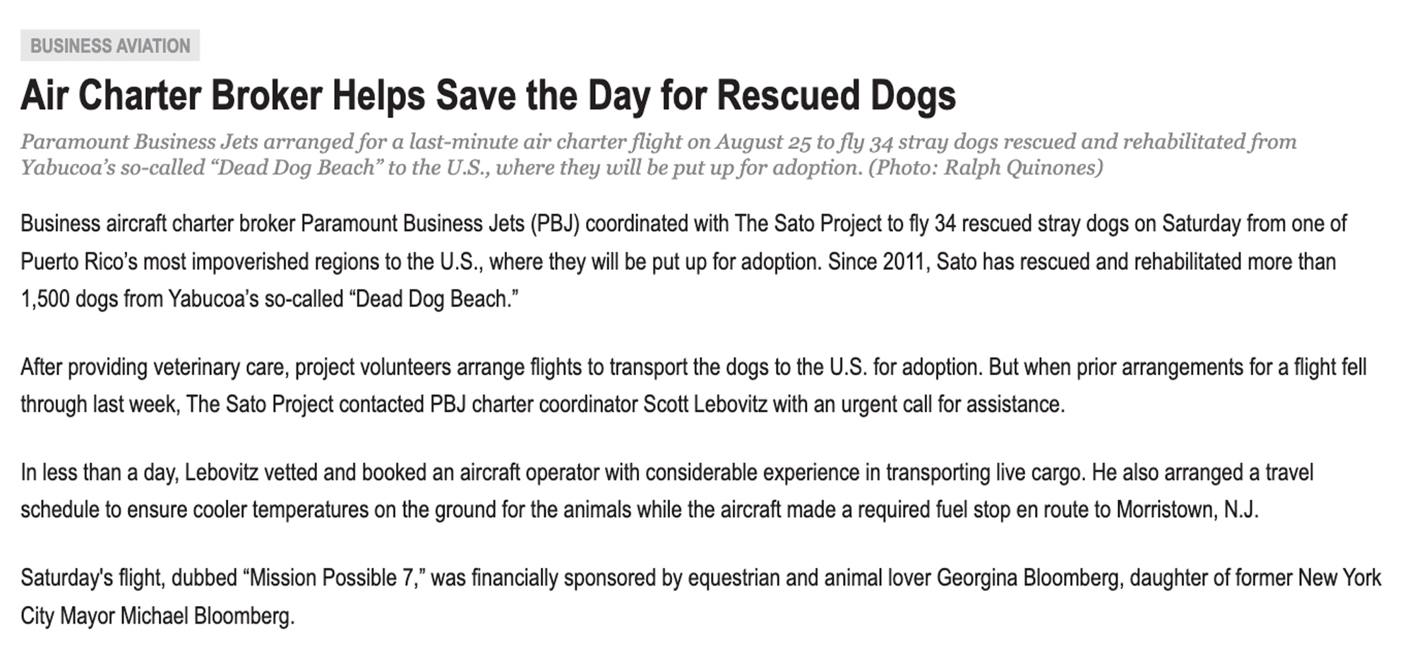 Article on how air charter broker helps save the day for rescued dogs
